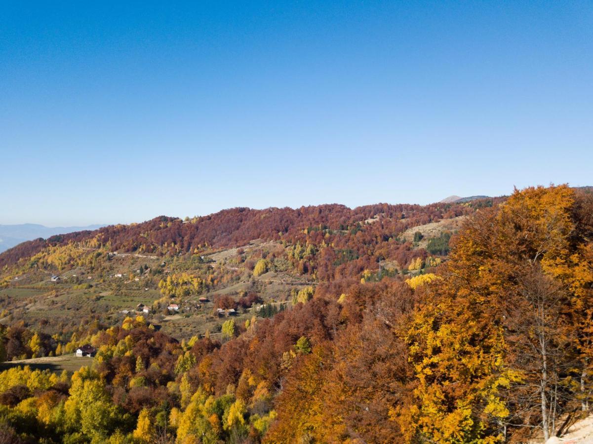 Sunset View Ski & Spa Apartments Κοπαόνικ Εξωτερικό φωτογραφία