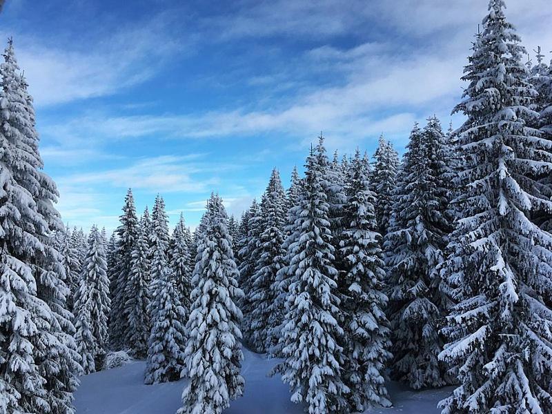 Sunset View Ski & Spa Apartments Κοπαόνικ Εξωτερικό φωτογραφία